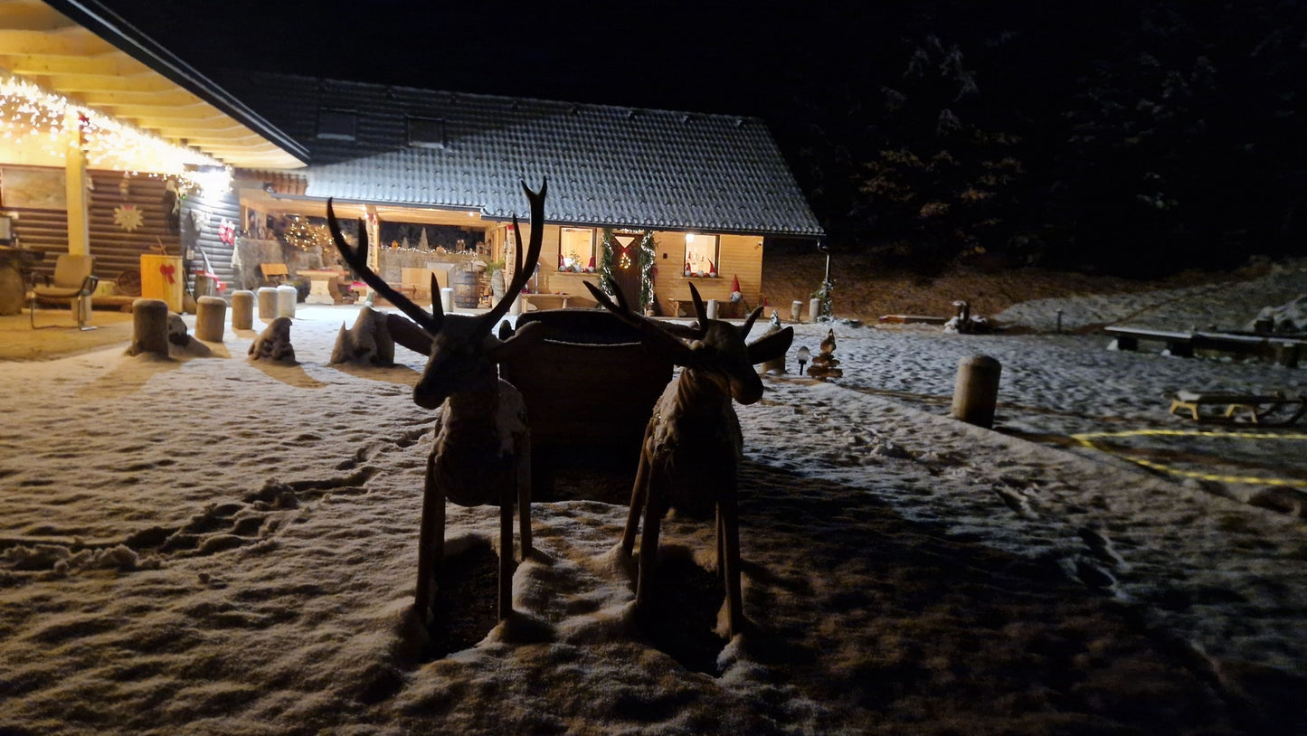 21.12.2025 BOŽIČKOVA DEŽELA