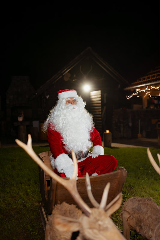 28.12.2025  BOŽIČKOVA DEŽELA
