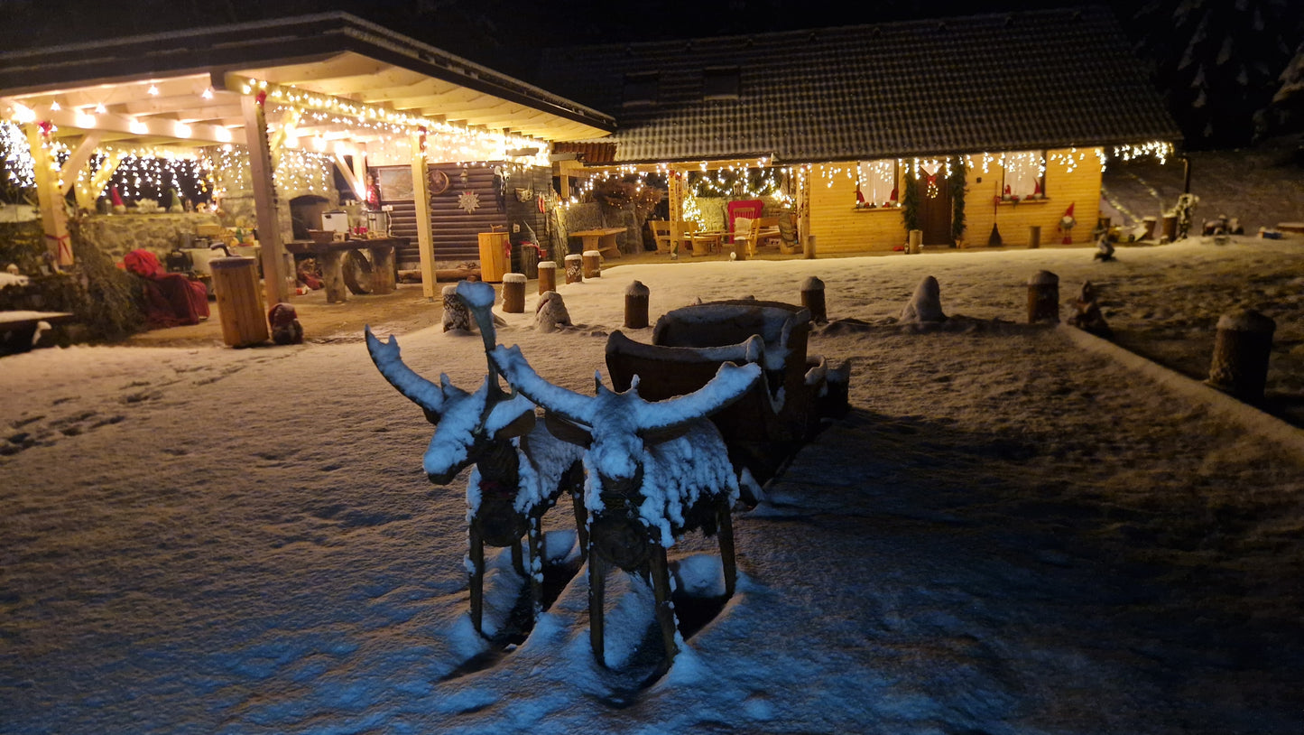 16.12.2025 SANTA LAND