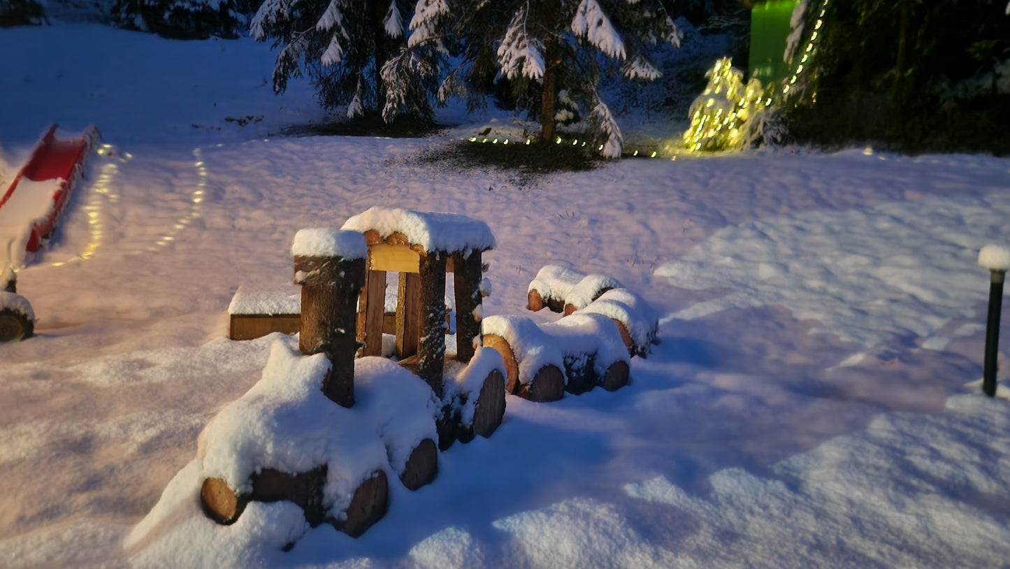 16.12.2025 SANTA LAND